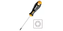Torx kruvikeeraja T25 x 100 mm ERGONIC