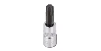 Padrun TORX  1/4" T25