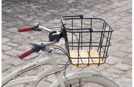 Esikorv Zefal Classic