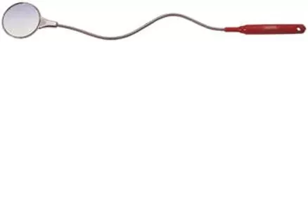 Peegel painduva varrega