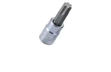 Padrun TORX  1/2" T60