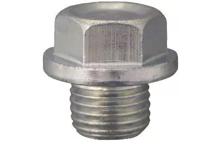 Õlikork+tihend M14x1,5x11 võti 17 mm