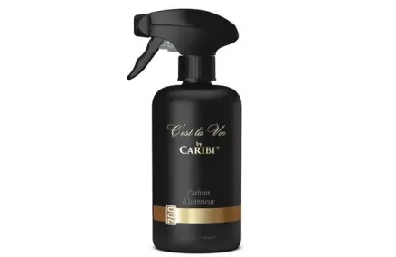 VIP Spray 250ml Dior (Sauvage)