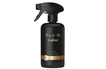 VIP Spray 250ml Paco Rabanne (Invictus)