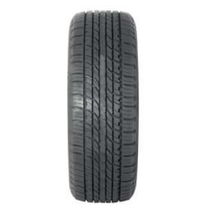 Double Star Ds01 225/70R16